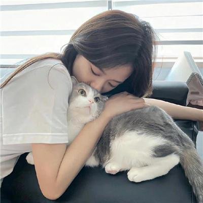 迷途之狼